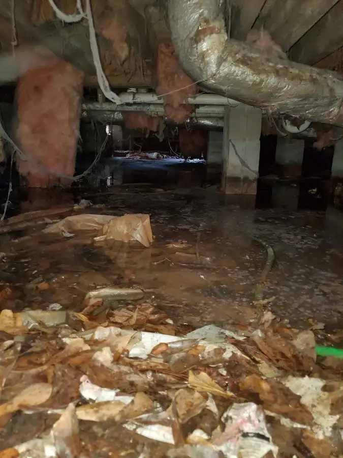 Crawl space flood assessment for Leak Detection & Repair in Gresham