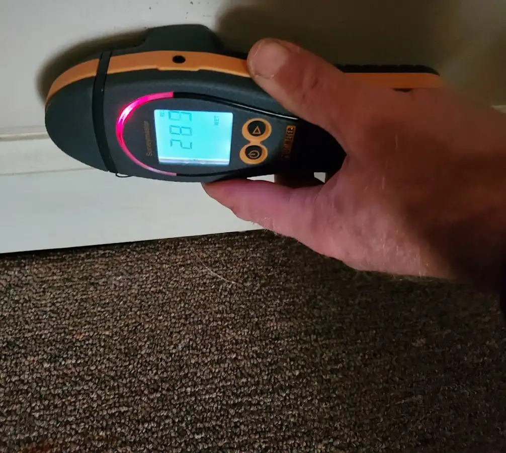 Moisture detection at baseboard during Mold Inspection & Testing in Gresham